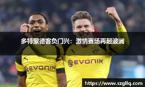 多特蒙德客负门兴：激情赛场再起波澜