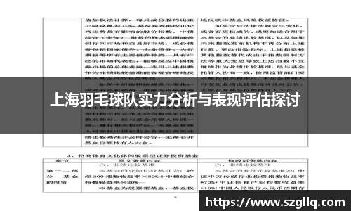 上海羽毛球队实力分析与表现评估探讨