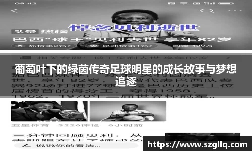 葡萄叶下的绿茵传奇足球明星的成长故事与梦想追逐